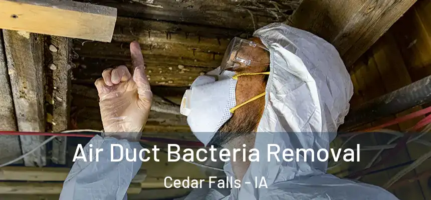 Air Duct Bacteria Removal Cedar Falls - IA