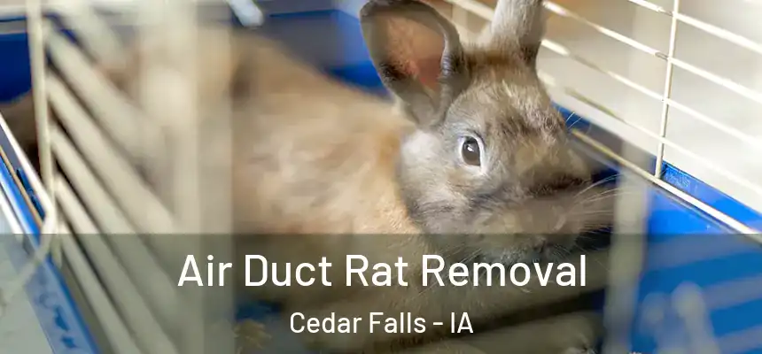 Air Duct Rat Removal Cedar Falls - IA