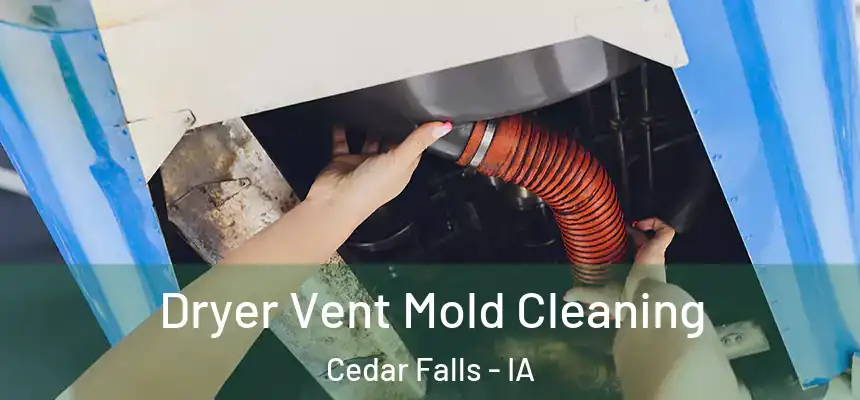 Dryer Vent Mold Cleaning Cedar Falls - IA