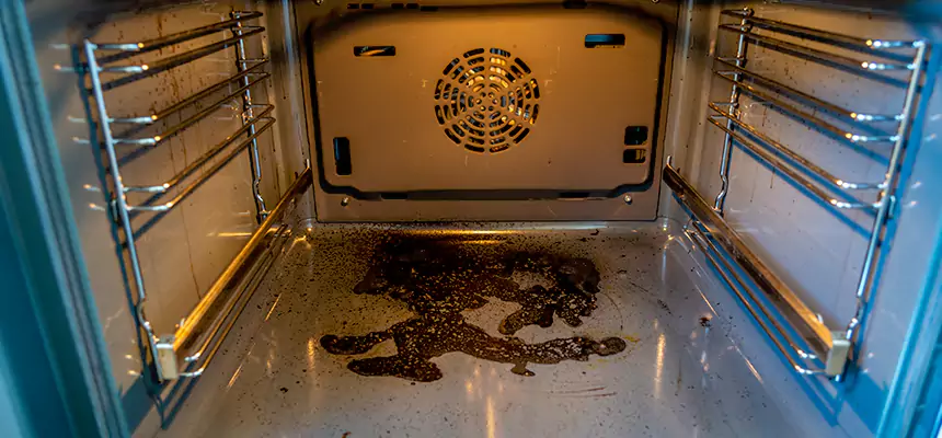 Our Dryer Vent Mold Cleaning Services in Cedar Falls, IA