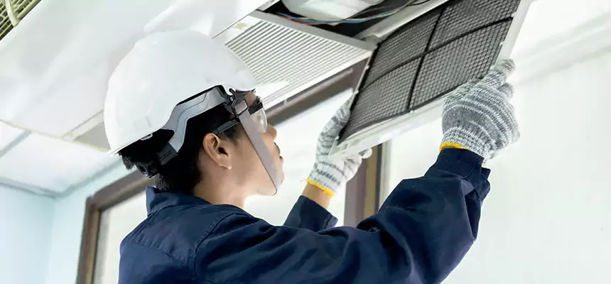 Our Mold & Mildew Removal from Air Ducts Services in Cedar Falls, IA