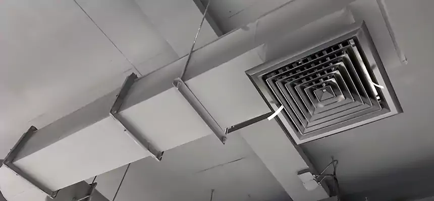 Our Pest Removal From Ducts Services in Cedar Falls, IA