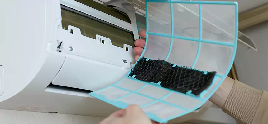 Gentle Ductwork Odor-Control Pet Dander Duct Cleaning in Cedar Falls, IA