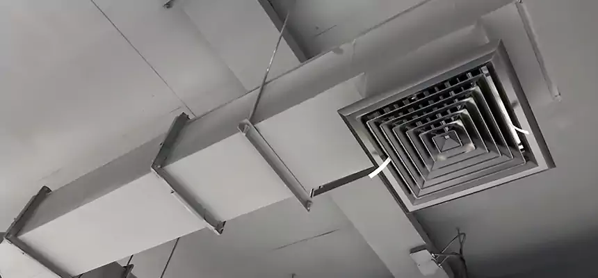 Our Rodent Droppings In Vents Services in Cedar Falls, IA