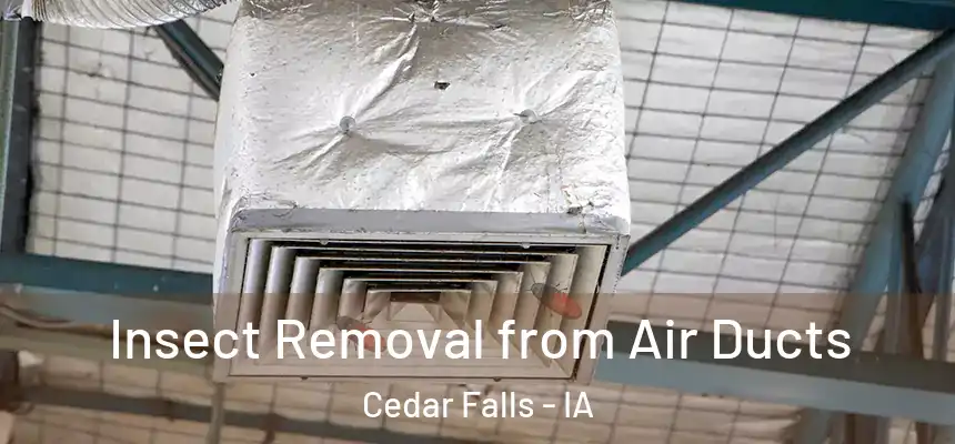  Insect Removal from Air Ducts Cedar Falls - IA