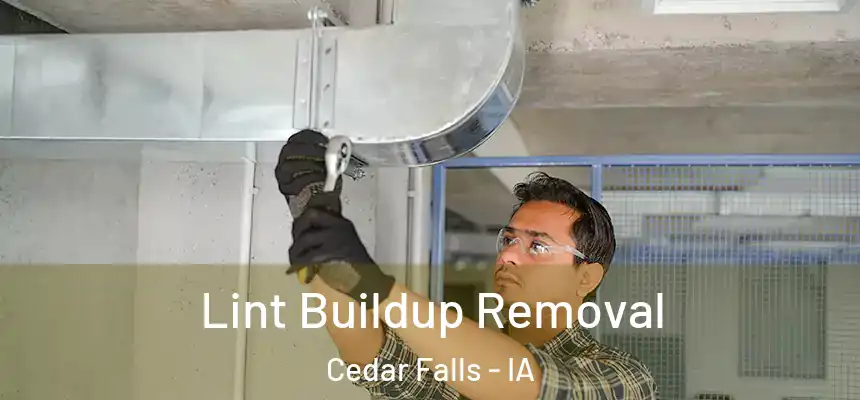  Lint Buildup Removal Cedar Falls - IA