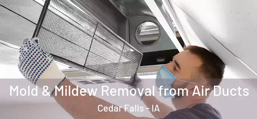  Mold & Mildew Removal from Air Ducts Cedar Falls - IA