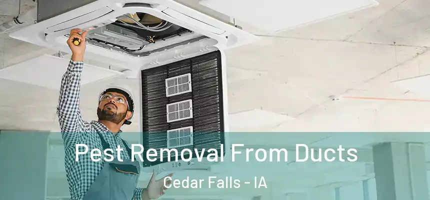  Pest Removal From Ducts Cedar Falls - IA