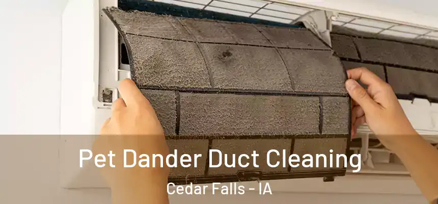  Pet Dander Duct Cleaning Cedar Falls - IA
