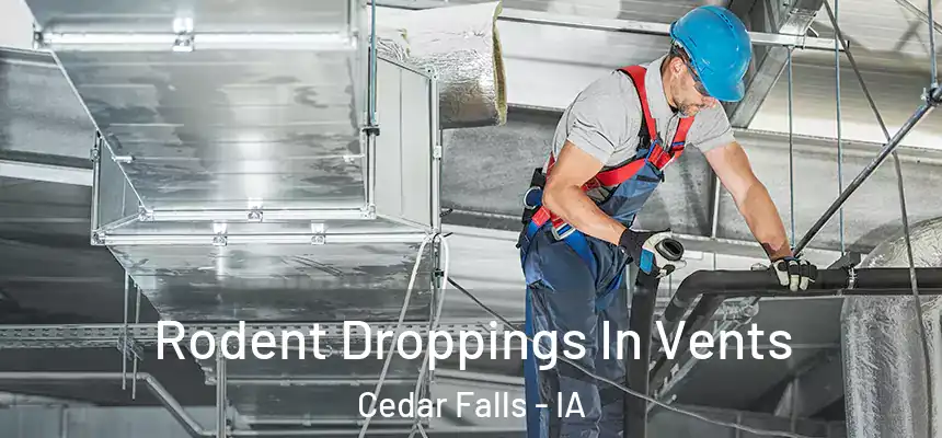 Rodent Droppings In Vents Cedar Falls - IA