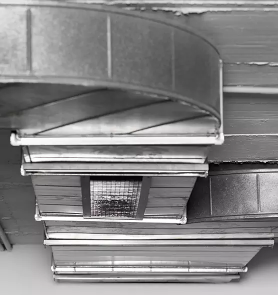 Professional Air Duct Pet Hair Removal in Cedar Falls, IA