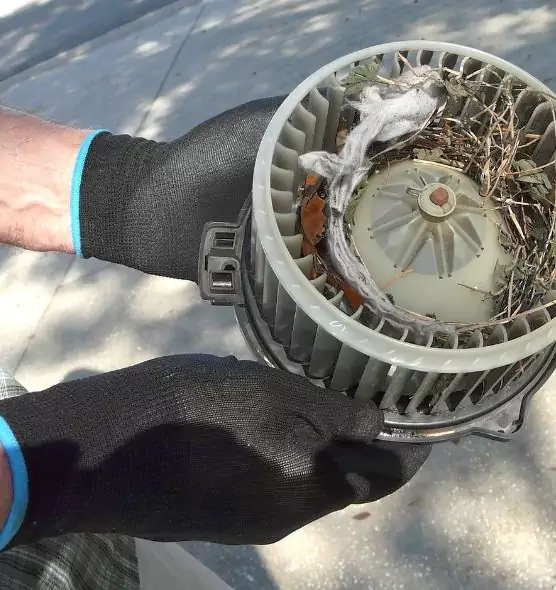 About Air Duct Rat Removal in Cedar Falls, IA