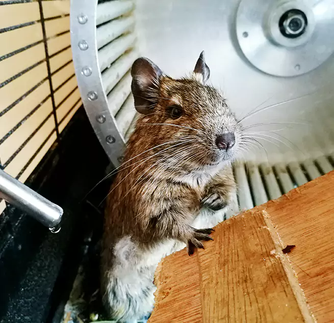 Why Homeowners & Businesses Trust Us Cedar Falls, IA