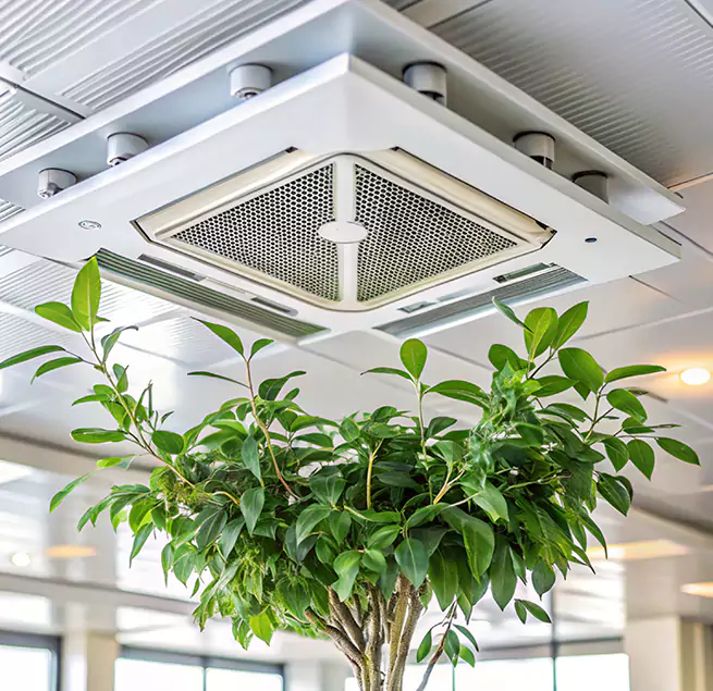 Why Homeowners & Businesses Trust Us in Cedar Falls, IA?